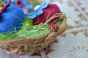 Творческая мастерская Волшебный сундучок